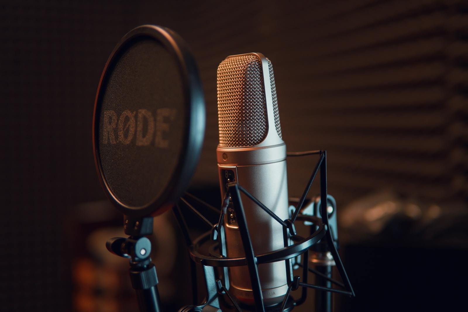 We analyzed 5000 voice captures: 5 surprising insights
